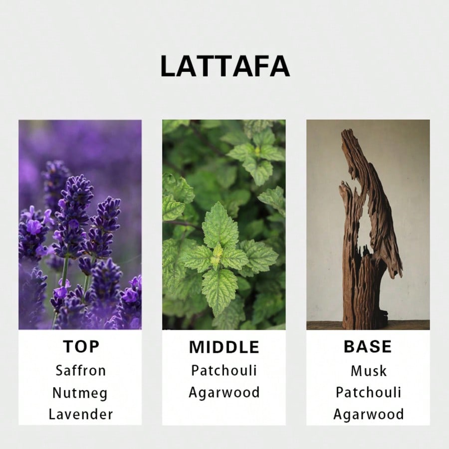 Lattafa Badee Al Oud For Glory – обзор и цена Perfume Xeryus